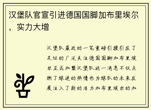 汉堡队官宣引进德国国脚加布里埃尔，实力大增