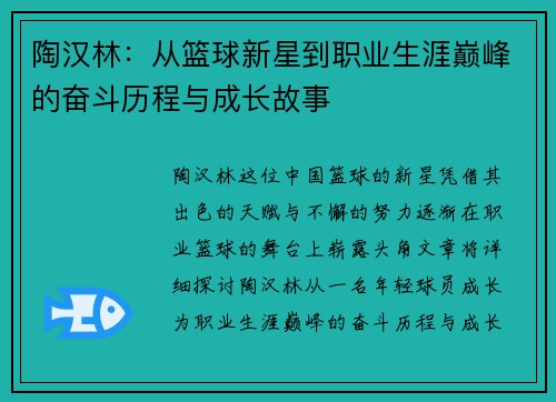 陶汉林：从篮球新星到职业生涯巅峰的奋斗历程与成长故事