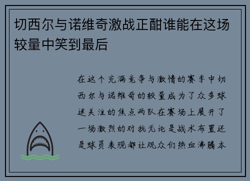 切西尔与诺维奇激战正酣谁能在这场较量中笑到最后