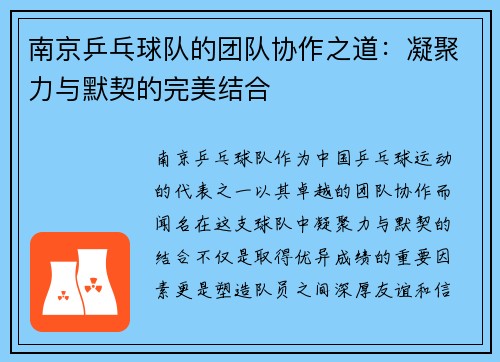 南京乒乓球队的团队协作之道：凝聚力与默契的完美结合